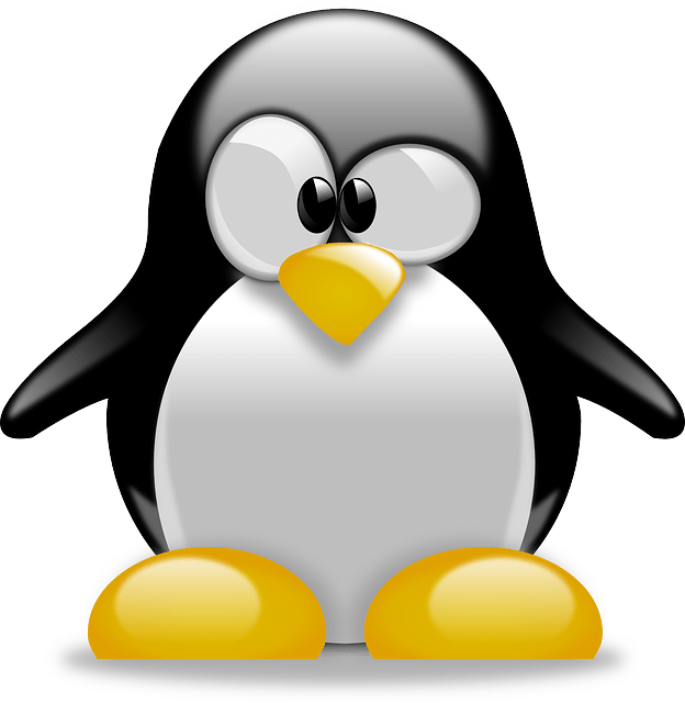 Linux